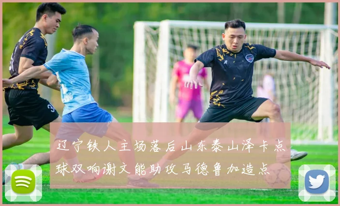 辽宁铁人主场落后山东泰山泽卡点球双响谢文能助攻马德鲁加造点